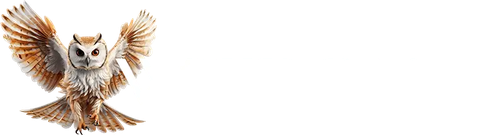 Wisdomia